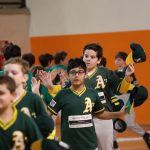 Inizia il Bologna Baseball Indoor 2024/25